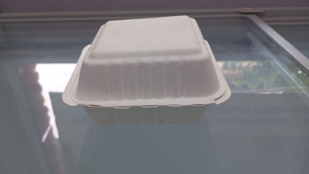 CLAMSHELL BENTO BOX 